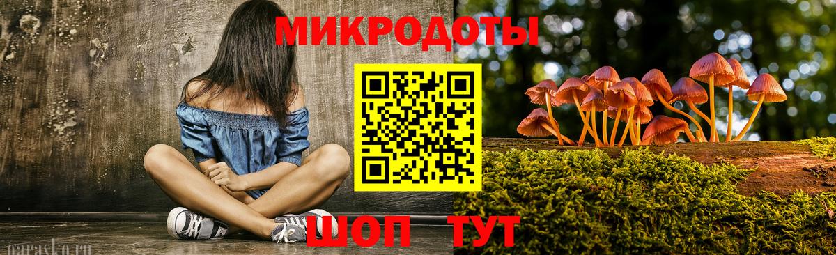 Ржев  Псилоцибиновые грибы Cubensis  Вход с VPN 